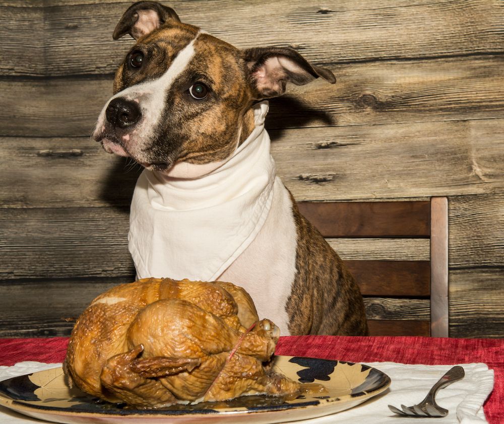 Question of the Week